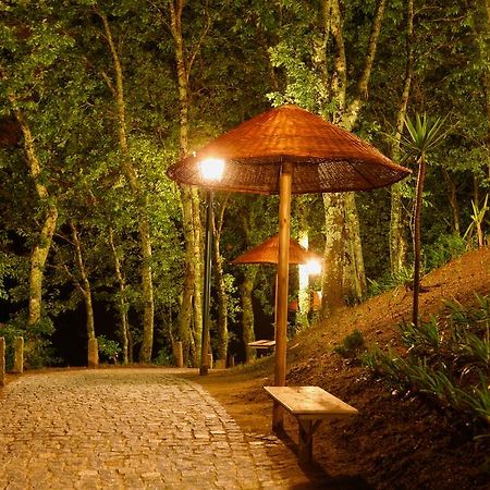 Vila da Lixa Quinta Da Costaヴィラ エクステリア 写真