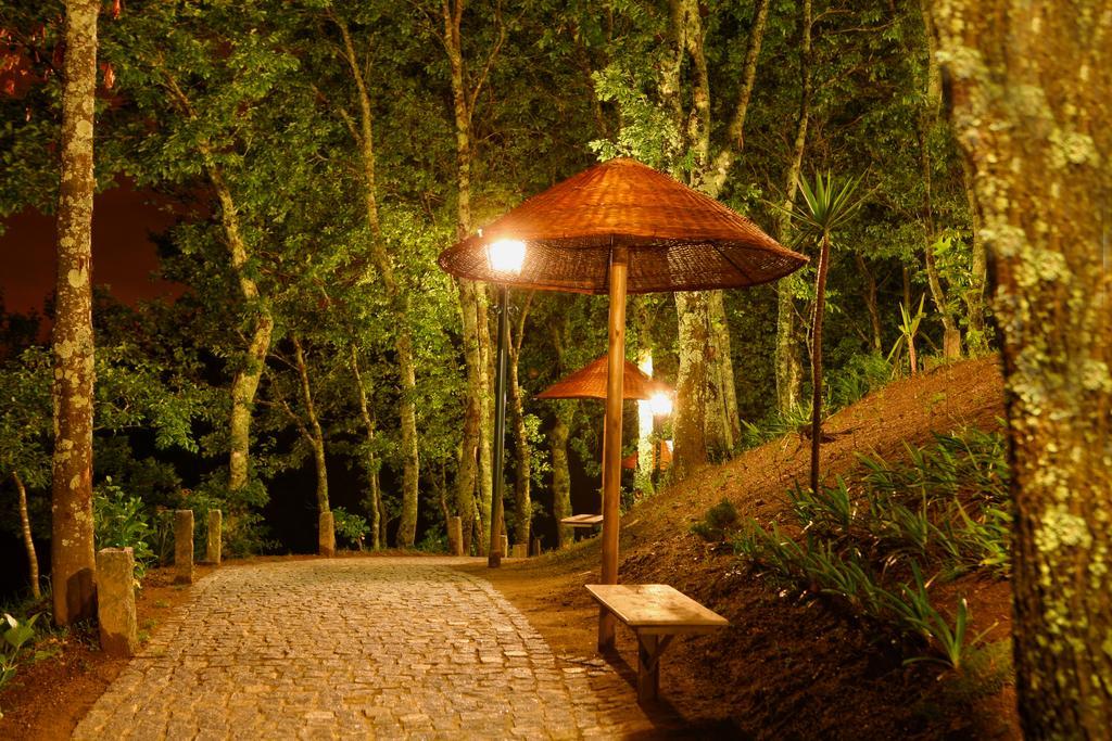 Vila da Lixa Quinta Da Costaヴィラ エクステリア 写真